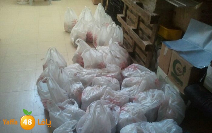 torod lud 803 (4).JPG